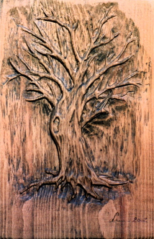 006 L'albero-faggio-40x25