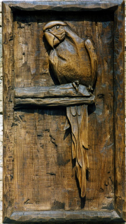 059 pappagallo-tiglio-29x52